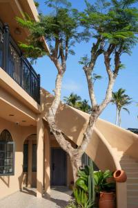 a palm tree in the courtyard of a house at Bao Di East Coast in Honghai