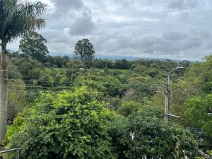 a view of a forest of trees with a street light at Casa Armonía Popayán in Popayan
