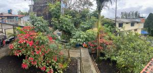 a garden with red flowers and trees on a balcony at Casa Armonía Popayán in Popayan +3 photos