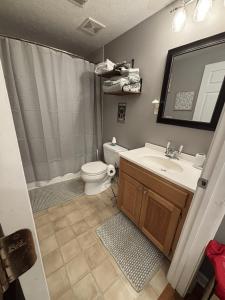 ein Badezimmer mit Toilette, Waschbecken und Dusche in der Unterkunft Craft Cottage in Berea