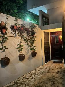 a wall with potted plants on the side of a house at Casa Papalo in Palenque