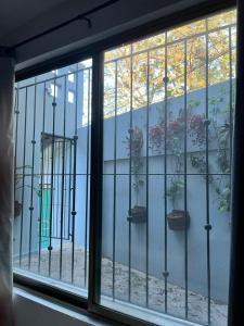 a window with potted plants on a wall at Casa Papalo in Palenque +59 photos