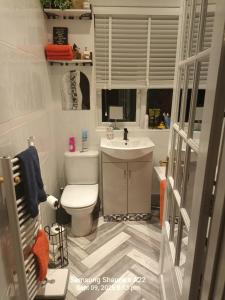 a bathroom with a toilet and a sink and a window at Shauna's house in Poole