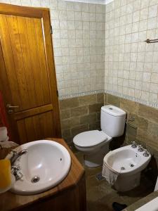 a bathroom with a toilet and a sink at Aromas de Montaña VIP in Junín de los Andes