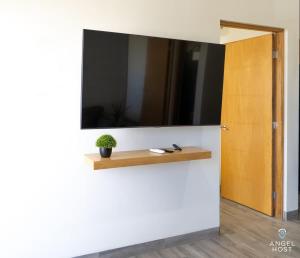 a mirror on a wall with a plant on a shelf at Pool BBQ & a Short Walk to the Malecon in La Paz