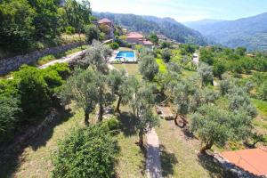 an aerial view of a farm with trees at casa do campinho in Fundoais