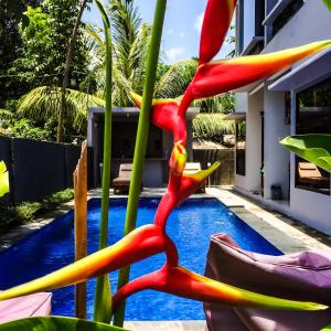 a close up of a flower next to a swimming pool at Lazy Inn Kuta Lombok in Kuta Lombok