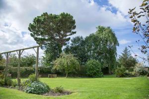 ビデフォードにあるThe Linhay Eastleighの草の中に木とベンチがある庭園