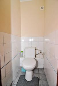 ein Bad mit einem weißen WC in einem Zimmer in der Unterkunft Juozo Namas in Druskininkai
