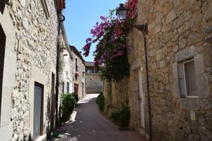 un callejón con flores al lado de los edificios en Apartaments Bizantí, en Sant Martí d’Empúries