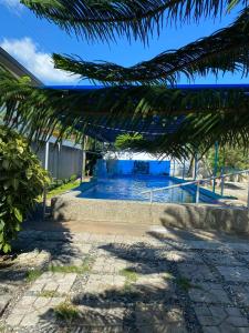 a swimming pool with a palm tree at CasaOlivia in Puerto Galera