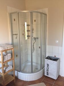 a shower with a glass enclosure in a bathroom at Festspiel Apart Tristan in Bayreuth +13 photos