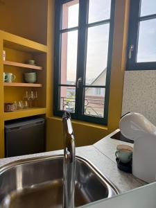 a kitchen with a sink and two windows at Studio confortable à proximité des thermes in Salies-de-Béarn +11 photos