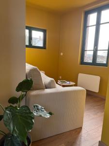 a living room with a white couch and two windows at Studio confortable à proximité des thermes in Salies-de-Béarn