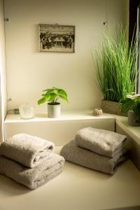 a bathroom with two towels and plants on a shelf at Fank'House in Guémar +22 photos