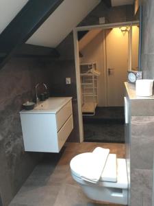 a bathroom with a toilet and a sink at MeerZee in Vrouwenpolder +51 photos