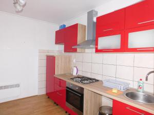 Kuchyň nebo kuchyňský kout v ubytování Apartments Leo Janjina