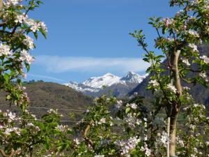 Paesaggio naturale nelle vicinanze dell'affittacamere