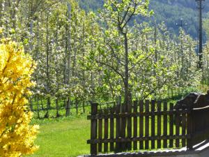 Giardino di Gletscherblick