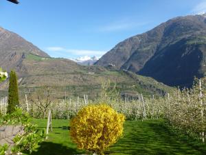 Paesaggio naturale nelle vicinanze dell'affittacamere