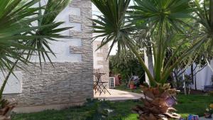 Zahrada ubytování Mango Holiday Rooms