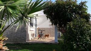 Zahrada ubytování Mango Holiday Rooms