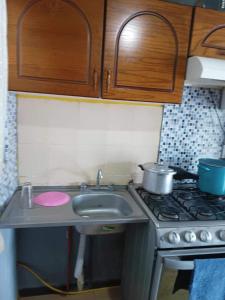 a small kitchen with a stove and a sink at La casa de Ile in San Juan Pueblo Nuevo