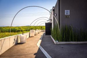 a row of potted plants on the side of a building at Gîte Spa Cookie in Urschenheim