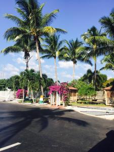a street with palm trees and flowers on the side of a road at Fort Myers Inn in Fort Myers