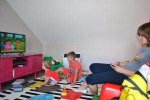 TV a/nebo společenská místnost v ubytování Gîtes Paquay