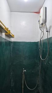a shower in a bathroom with a green wall at Lucy's Diner Hostel Cafe in San Francisco