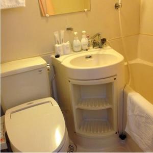 a bathroom with a white toilet and a sink at Hotel Select Inn Tsuyama in Tuyama