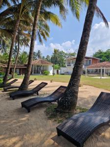 a row of benches on the beach with palm trees at CocoVilla Boutique Resort in Beruwala +33 photos