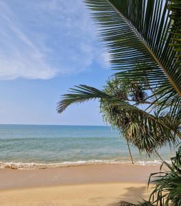 a palm tree on a beach with the ocean at CocoVilla Boutique Resort in Beruwala