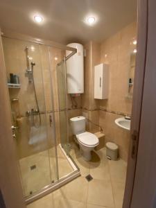 a bathroom with a toilet and a shower and a sink at Изгрев-Бяла in Byala +16 photos