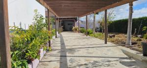 a walkway leading up to a house with plants at La Barbacoa in Dos Pinos