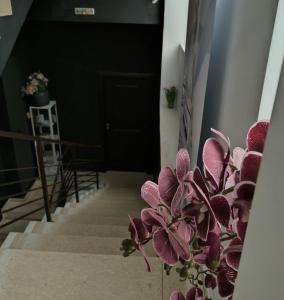 a hallway with a plant in a vase next to a door at KALI Old Town LOFT with Monument view in Bucharest +6 photos