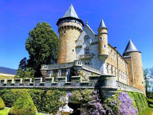 a castle on top of a hill with flowers at Château de Busset in Busset