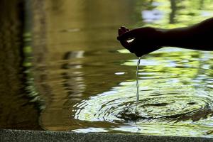 a person is drinking water from a pond at Yamatoya Besso in Matsuyama