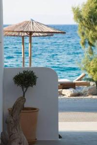 a plant in a pot next to an umbrella at Little Blue Doors Studios in Samos