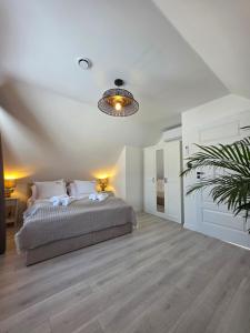 a bedroom with a bed and a potted plant at Zatoka Warmii in Tomaszkowo +29 photos