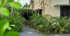 a garden in front of a house with palm trees at Leaf Garden Retreat in Varkala