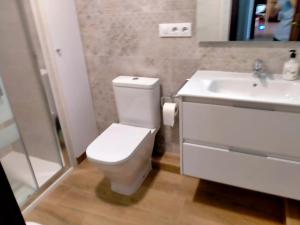 a bathroom with a white toilet and a sink at Primera línea Playa Gandia in Gandía +9 photos