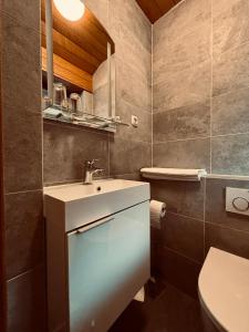 a bathroom with a sink and a toilet at Hotel Tannenhof in Egmating