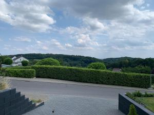 a view of a street with bushes and a road at Apartment in der Eifel in Blankenheim