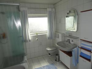 a bathroom with a sink and a toilet and a shower at Haus Panorama in Massenbachhausen