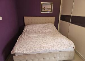 a bed in a bedroom with a purple wall at Violeta guest house in Petrovaradin +25 photos