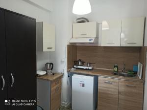 a small kitchen with a white refrigerator and a sink at Rooms To Let Giannis in Makrygialos