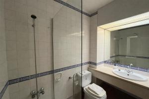 a bathroom with a shower and a toilet and a sink at Sunset Bay São Martinho do Porto in São Martinho do Porto