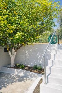 a staircase with a lemon tree next to a building at The Citrus Yard in Politika, 2 bedrooms apartment in Politika +4 photos